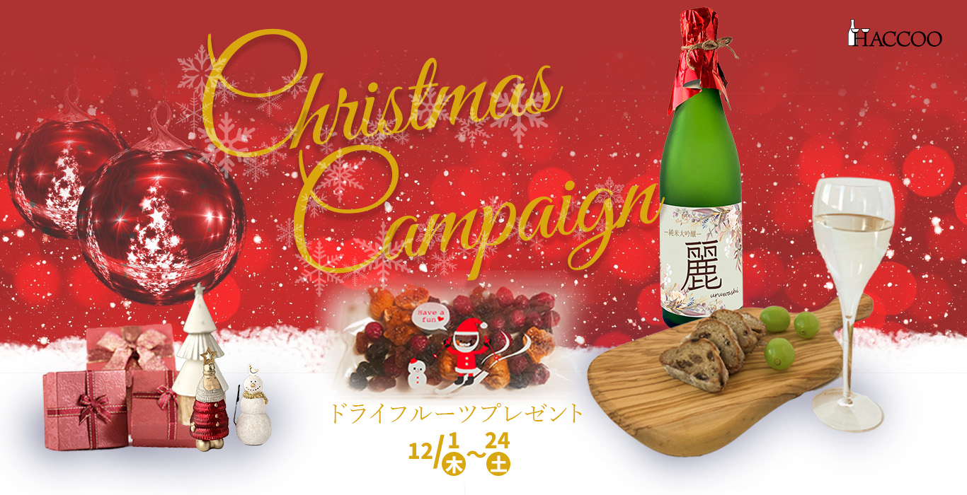 xmas_campaign