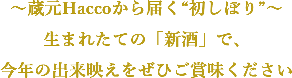 初しぼり案内